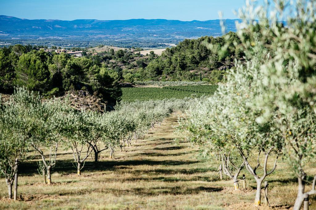 Domaine Calmel & Joseph Villa Montirat  Екстериор снимка